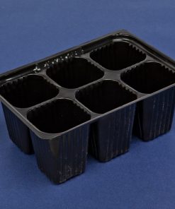 Custom-Pak’s 6-pack nursery plastic container New Zealand and made with care—durable, plant-safe