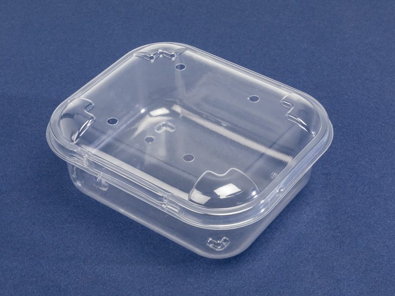 R120 PET plastic packaging is perfect for cherry tomatoes—durable