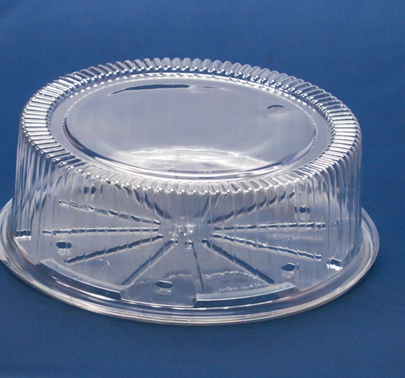 CD10 cake portable plastic container, eco friendly, Nz made