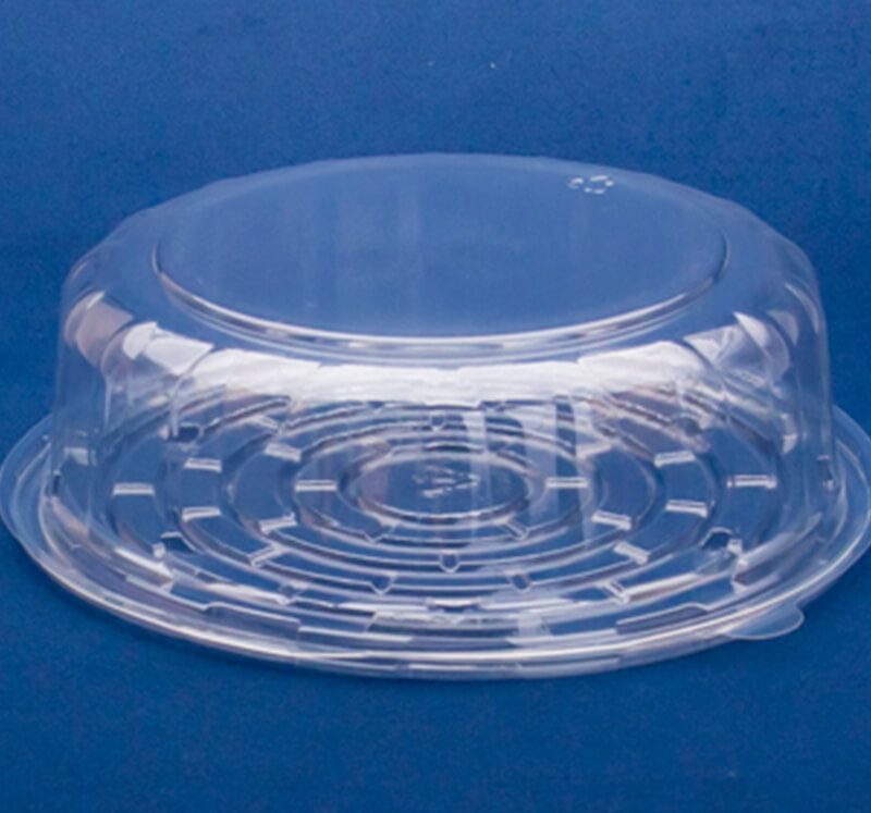Clear plastic food packaging container CD10 Medium for deli and ready meals