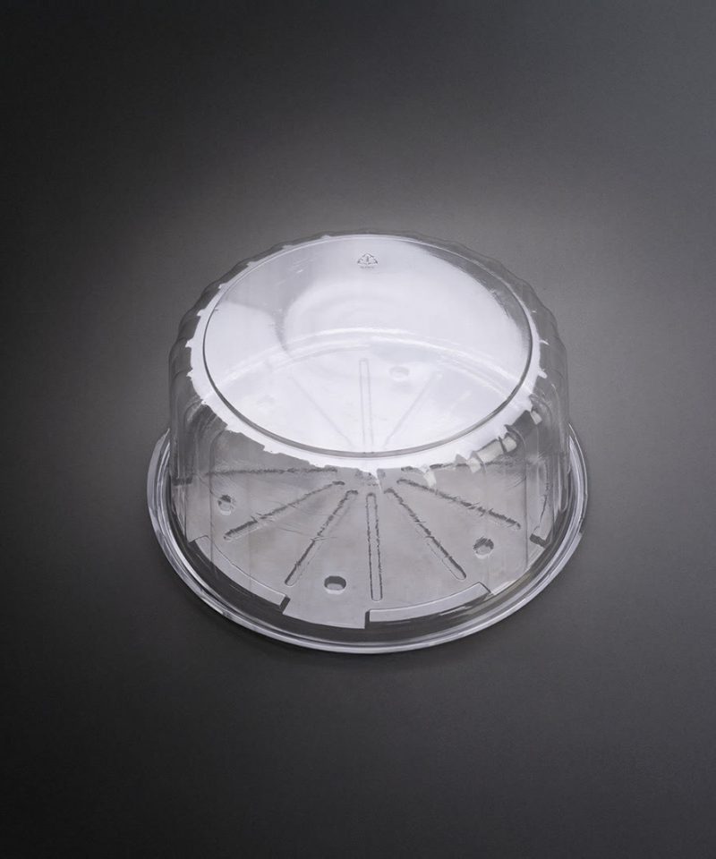 CD10 Medium clear plastic container for deli, bakery and takeaway food