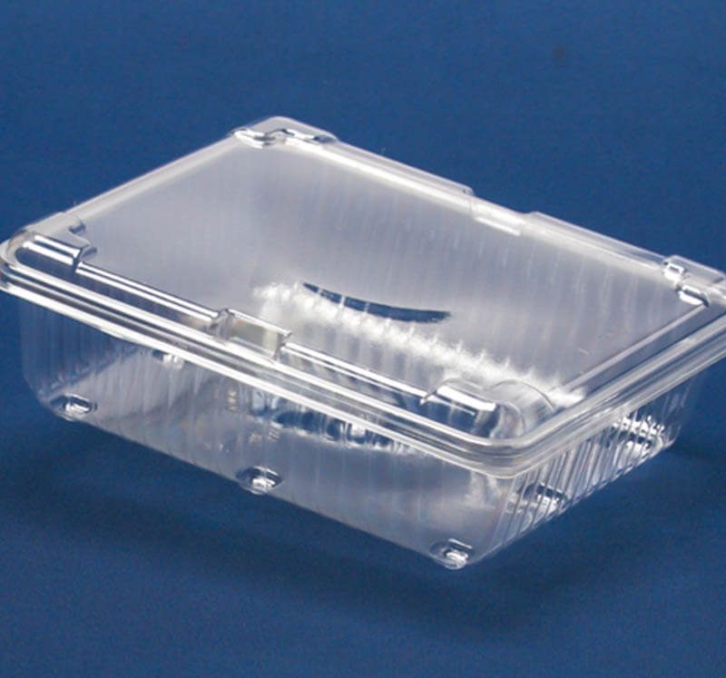 FX-Salad food packaging solution designed for salads, healthy takeaway meals, and convenience food packaging.