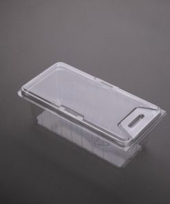 Rigid clear plastic lidded container with locking tabs – ideal for custom food packaging solutions and product packaging in New Zealand