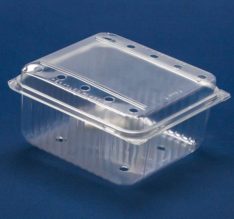 CustomPak SF1000 clear plastic takeaway container for food display