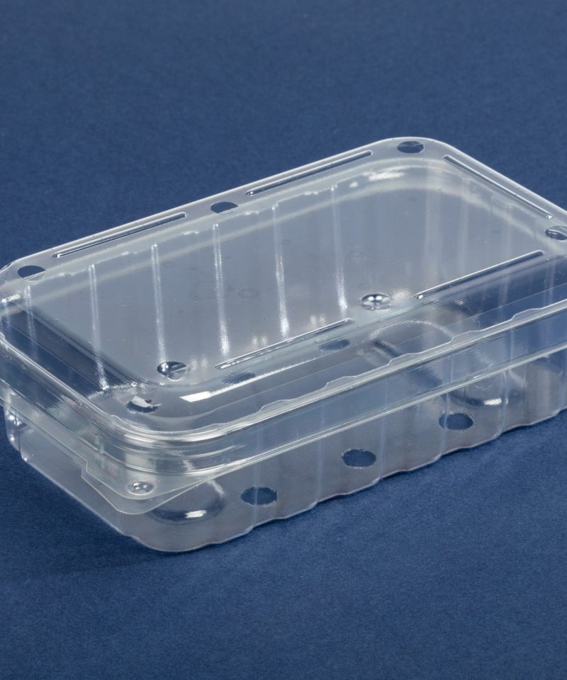 Plastic food container SL250 for prepared foods and retail packaging