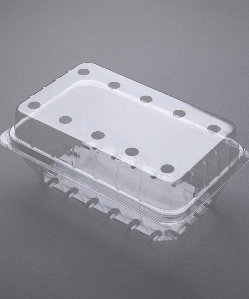 Clear vented plastic packaging container – used for food in plastic packaging and food packaging products, designed for safe and efficient transport in New Zealand