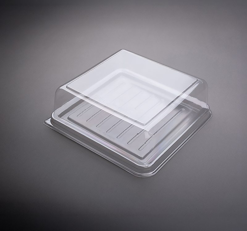 Sponge Square Medium