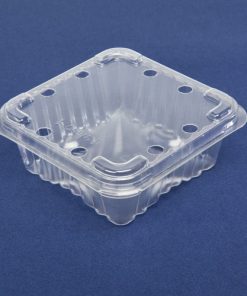 bb125 berry packaging with sustainable packaging Nz