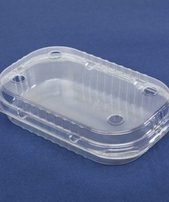 bf120 ear pet plastic packaging is to store blackberries raspberries, food-grade presentation