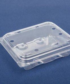 kb01 berry packaging for horticulture, environmentally friendly food packaging in Nz