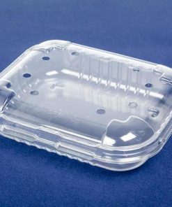 blackberries raspberries and blueberries with Custom-Pak R120, reusable food packaging