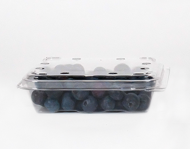 Packaged blueberries