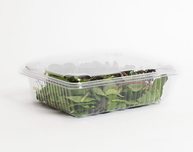 leafy greens in plastic container with white background