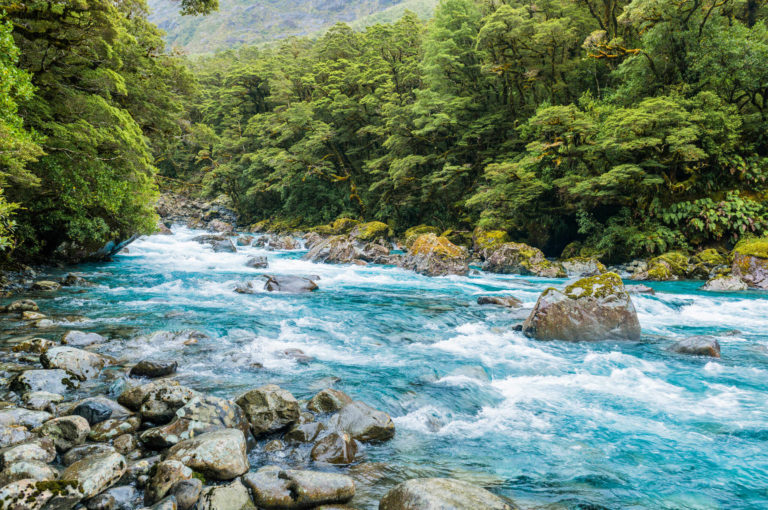 Recyclable Plastic Food Packaging NZ CustomPak