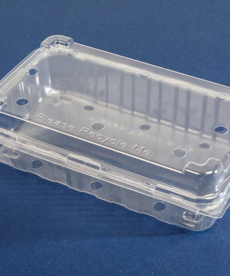 CustomPak J250 recycled plastic food packaging with a clear custom plastic pack and secure hinged lid for fresh produce.