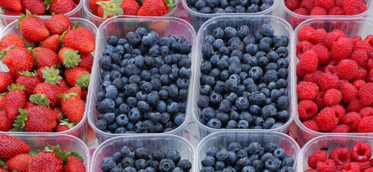 Is there such a thing as 'Good Plastic'?