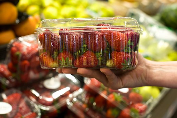 Clear thermoformed plastic food packaging filled with fresh strawberries, demonstrating protective fresh produce packaging by CustomPak NZ.