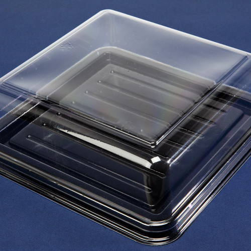 Sponge Square Medium